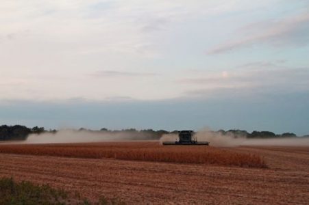 A Drought, Tom's Wall, and the Renaissance Faire Image